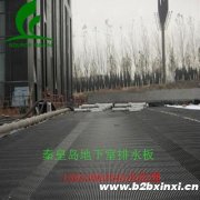 秦皇島（地下室排水板土工布）定制規格