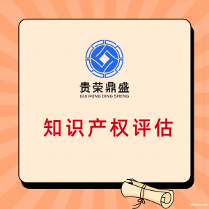武漢市知識產權評估專利出資評估軟著增資評估貴榮鼎盛評估