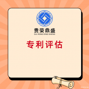 合肥市專利出資評估軟著實繳評估商標價值評估知識產權評估