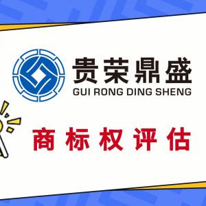 漳州市專利商標(biāo)實(shí)繳評估股權(quán)價值評估知識產(chǎn)權(quán)評估