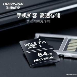 海康威視HS內(nèi)存卡 監(jiān)控專用內(nèi)存卡 D1內(nèi)存卡