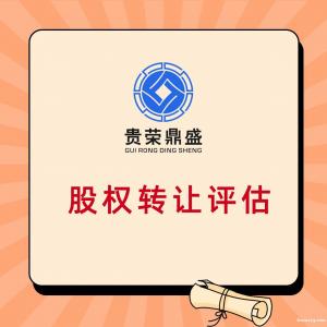 宜賓市個人股權(quán)轉(zhuǎn)讓評估轉(zhuǎn)讓股權(quán)評估報告