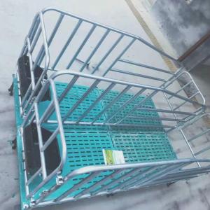 豬場用定位欄
