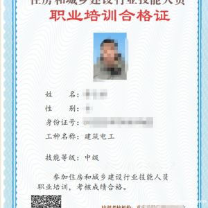 技術工人證分初級，中級，高級嗎？