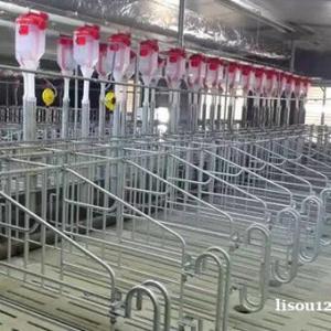 自動化養豬殖設備