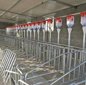 養殖場自動喂料設備飼料自動運輸上料設備可定制