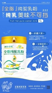 阿爾泰駝全脂乳粉|新疆特產|高營養的乳制品