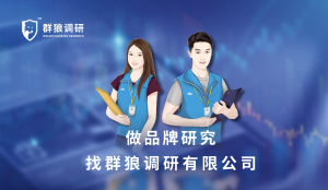 群狼調(diào)研（湖南街頭問卷調(diào)查）撰寫品牌知名度研究報告