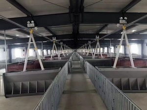 自動化養豬設備自動化養殖設備