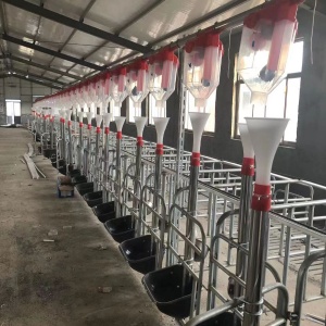 大型養(yǎng)殖場用自動化塞盤料線鏈條輸送飼料