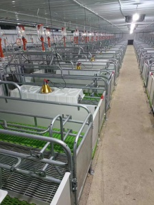母豬歐式產床分哪幾種怎樣安裝
