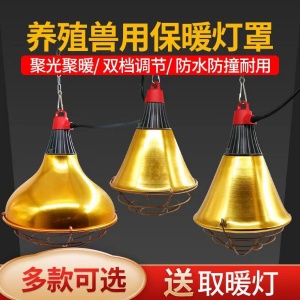 保溫燈可調節燈罩耐高溫暖效果好