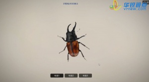 3D昆蟲展示教學_自然科學虛擬仿真_廣州華銳互動