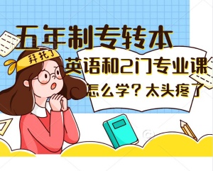 五年制專轉本零基礎報班能確保轉本成功概率嗎