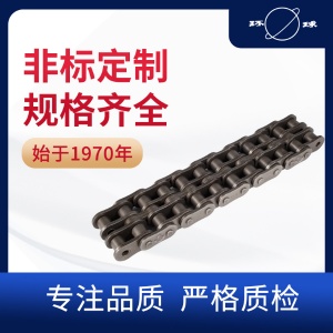 T80E-2鏈條 高強度短節距精密滾子鏈 環球鏈條