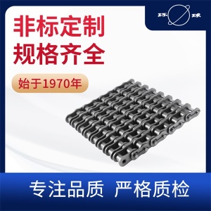 石油鏈 160-8鏈條 環(huán)球鏈條 傳動(dòng)鏈 非標(biāo)定制