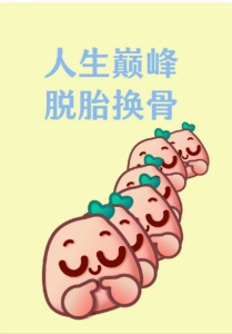 瀚宣博大五年制轉本寒假集訓讓我脫胎換骨。