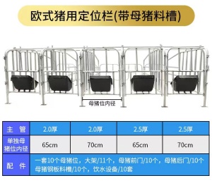 母豬定位欄，落地式母豬定位欄