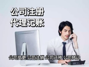 上海注冊公司的流程2024