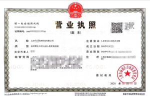 轉(zhuǎn)讓上海xx教育科技有限公司