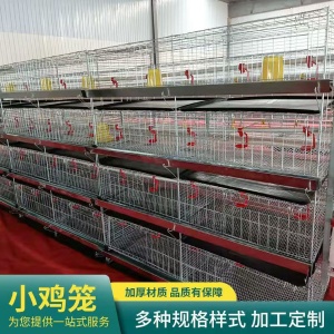 雞舍蛋雞籠