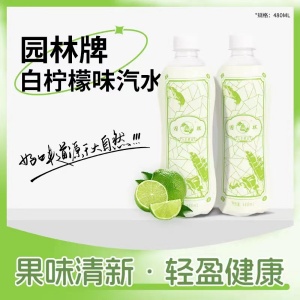 園林牌橙味汽水經典蘇州休閑汽水童年飲料