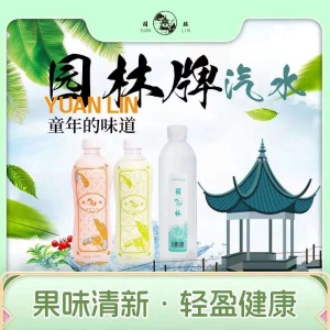 園林牌橙味汽水經典蘇州特產休閑汽水童年飲料