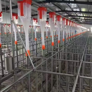 自動上料線  全自動喂料系統(tǒng)  自動喂料設(shè)備