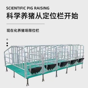 母豬定位欄 限位欄
