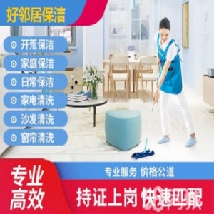 南京橋北江北新區(qū)附近 家庭保潔 單位打掃衛(wèi)生 地毯玻璃清洗