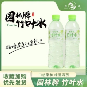 園林牌橙味汽水經典蘇州休閑汽水童年飲料網紅飲品