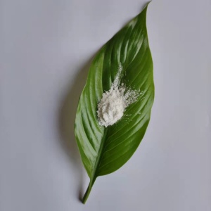 氧化鋯（R30Y3）陶瓷的光固化成型