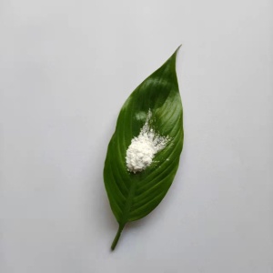 納米氮化硼(CY-HBN)的特性與應(yīng)用簡介