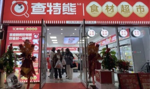 告別外賣！查特熊讓我吃上美味家常飯！