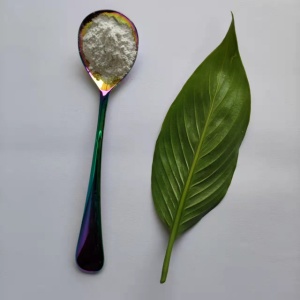 鋰電池正負(fù)極間隔膜為什么涂覆納米氧化鋁CY-LA500G