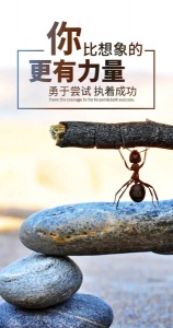 江蘇瀚宣博大專轉本蘇州校區專科和本科的差別