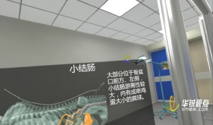 VR 馬直腸檢查虛擬仿真實驗顯著提升培訓效能?