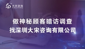 大宋咨詢汽車門店 6S 標準現場檢查：賦能門店管理升級（神秘