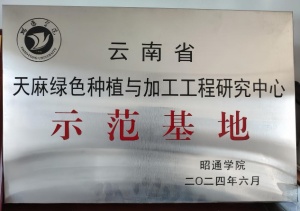 昭通野生天麻產(chǎn)地