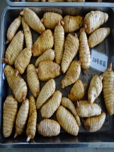 昭通真天麻功效