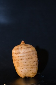 彝良小草壩天麻圖片