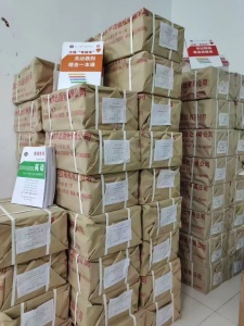 備考五年制專轉本 不用做個實在人